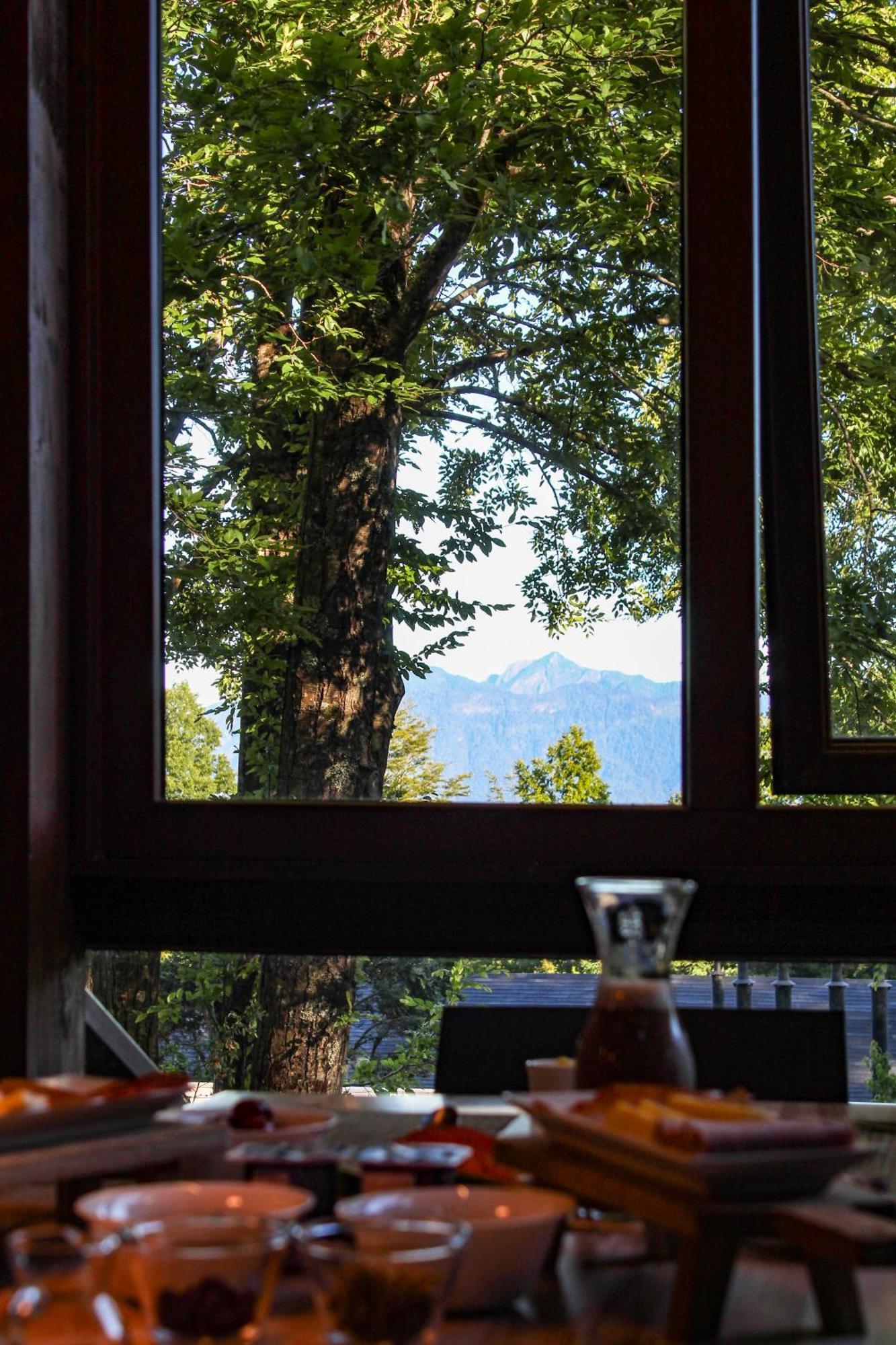 Ni-Newen Hotel & Lodge Pucón Extérieur photo